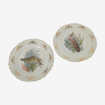 Assiettes plate anciennes poisson porcelaines vintage céramique française