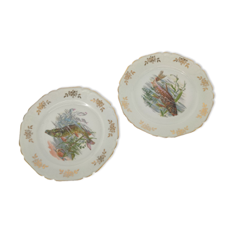 Old fish flat plates vintage porcelain French ceramics