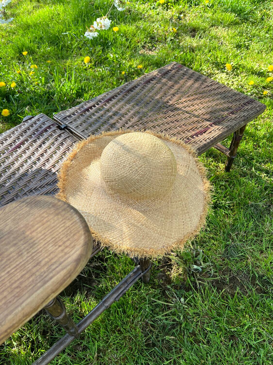 Rattan deck chair