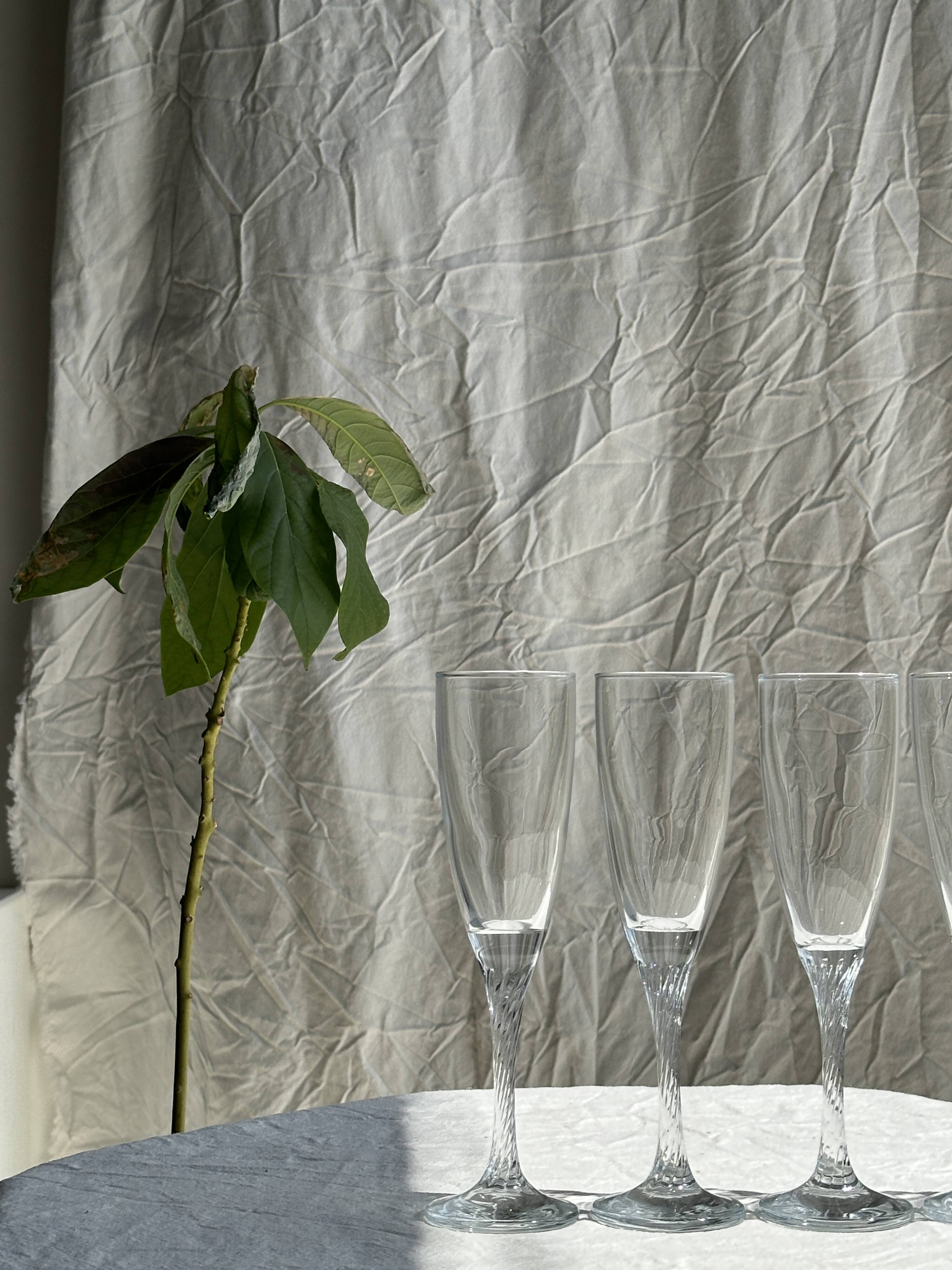 Set of 5 glass champagne flutes with twisted ribbed base