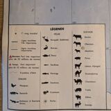 Carte scolaire - planisphère politique et planisphère économique