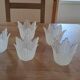 Old sandblasted glass tulips