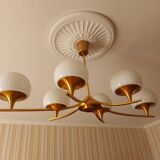 sciolari 6 lights chandelier