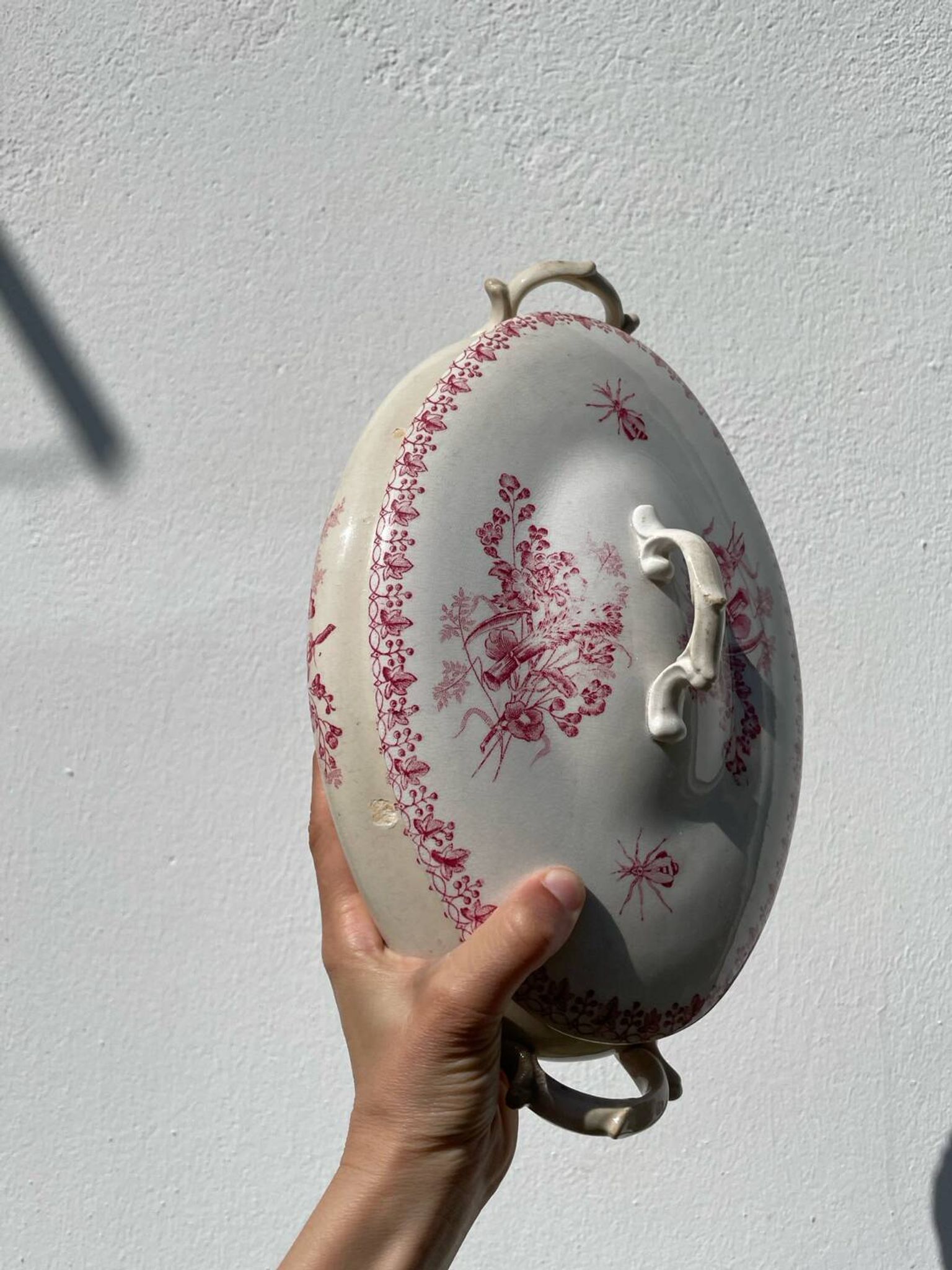 Onnaing iron clay soup tureen, Moisson model
