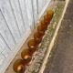 8 vintage amber moulded glass glasses