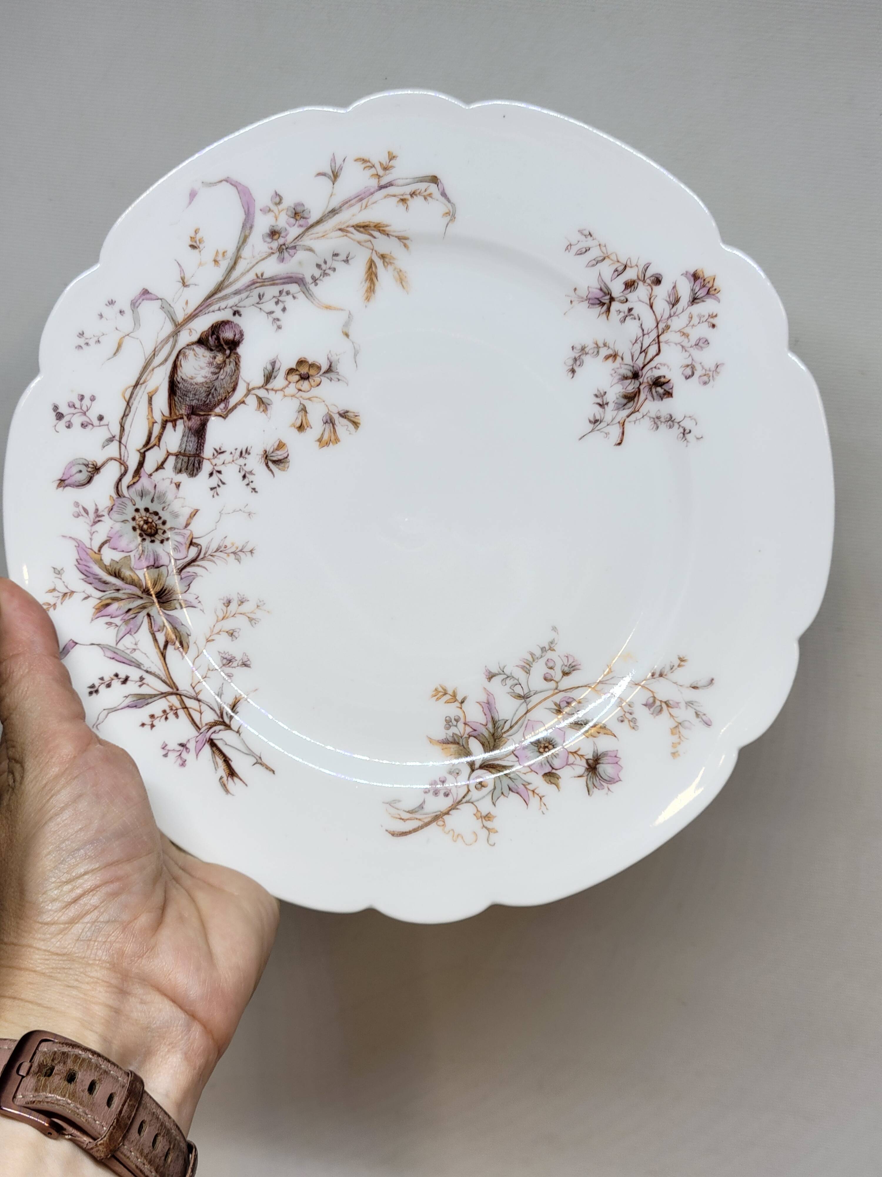 8 Superb Antique 19th Century Plates Decorated with Birds on Branches