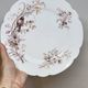 8 Superb Antique 19th Century Plates Decorated with Birds on Branches