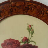 Framed botanical board Vintage rose