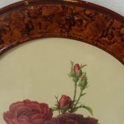 Framed botanical board Vintage rose