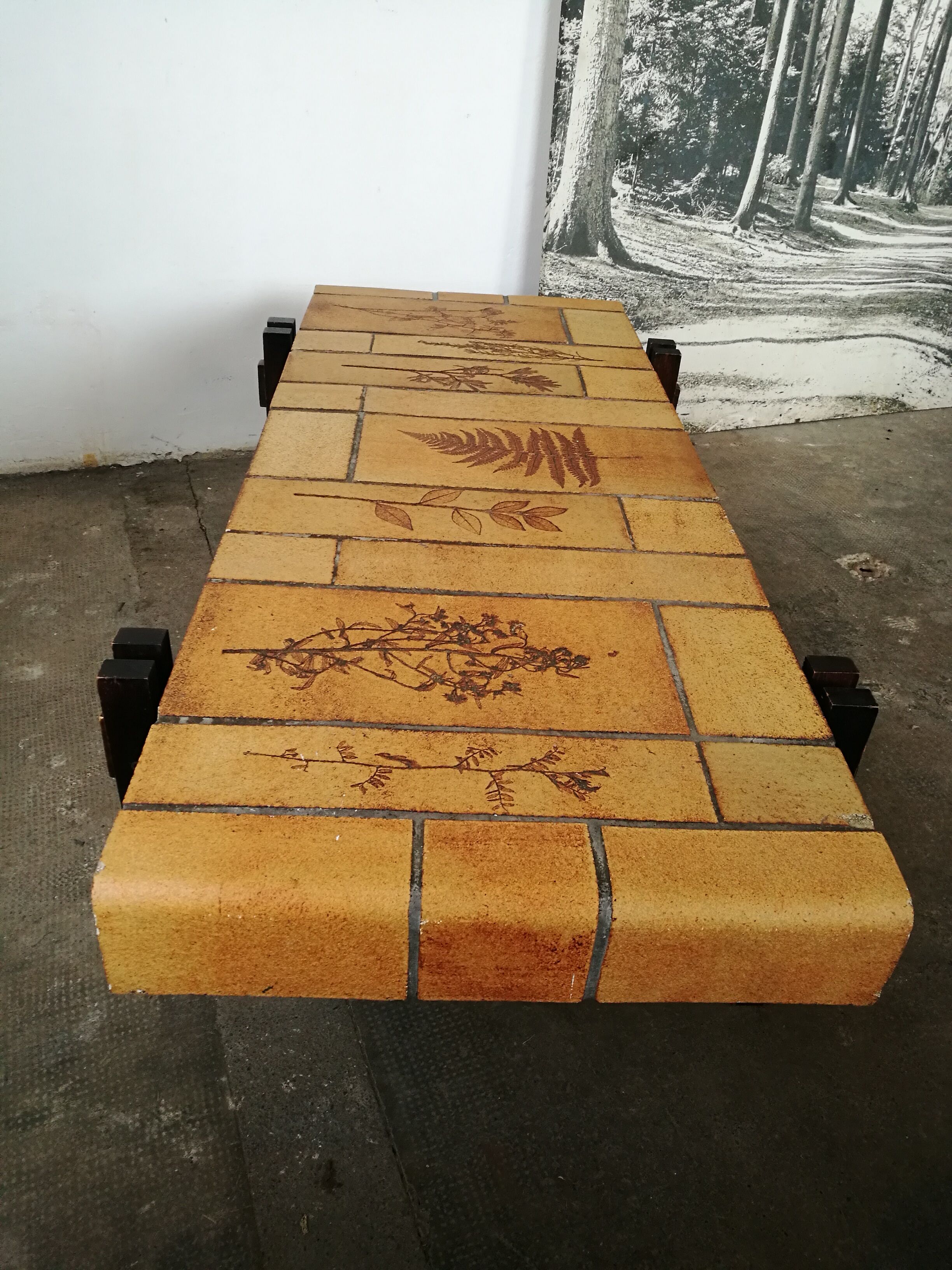 Capron herbarium model coffee table