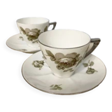2 cups with subcups