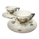 2 cups with subcups