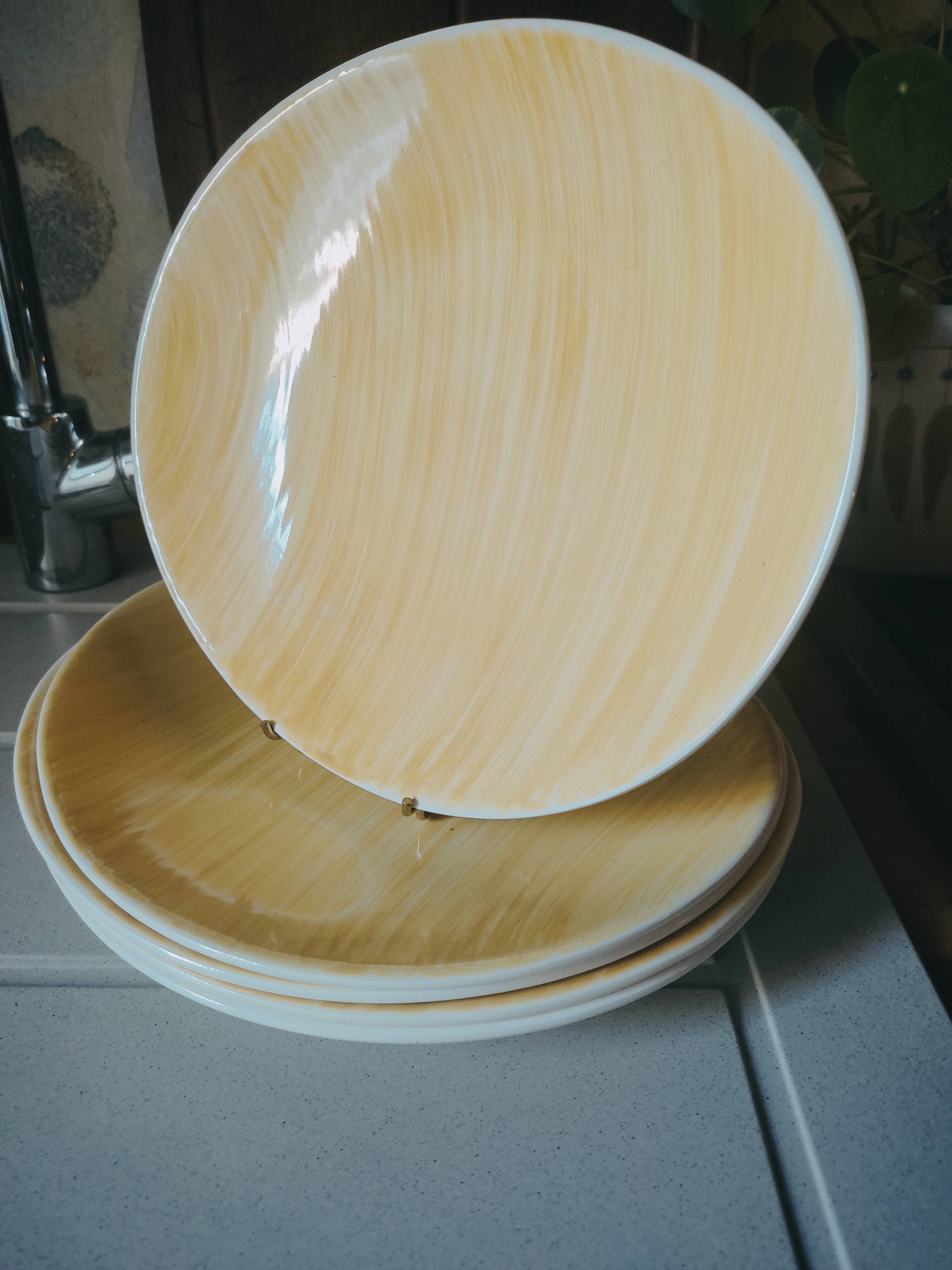 5 oval plates Aquilon by Salins