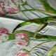 Hand-embroidered vintage tablecloth