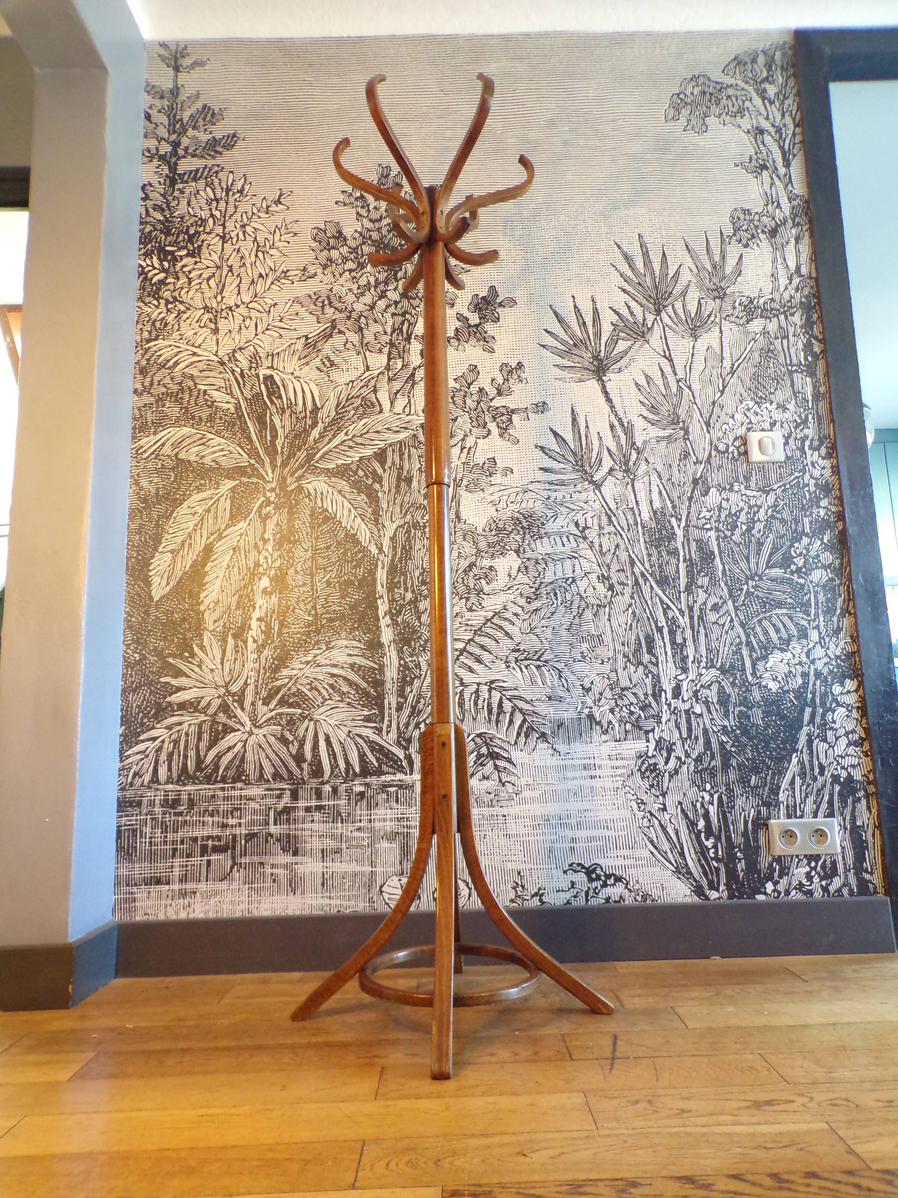 Baumann parrot coat rack in bent wood