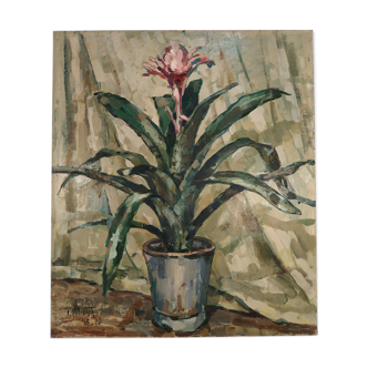 Pot flower - 1945 -oil - Japanese school by Shibata