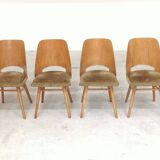 Set of 4 chairs model 514 by Radomir Hofman for Ton 1960