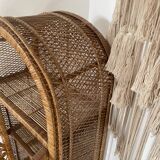 Peacock rattan bookshelf