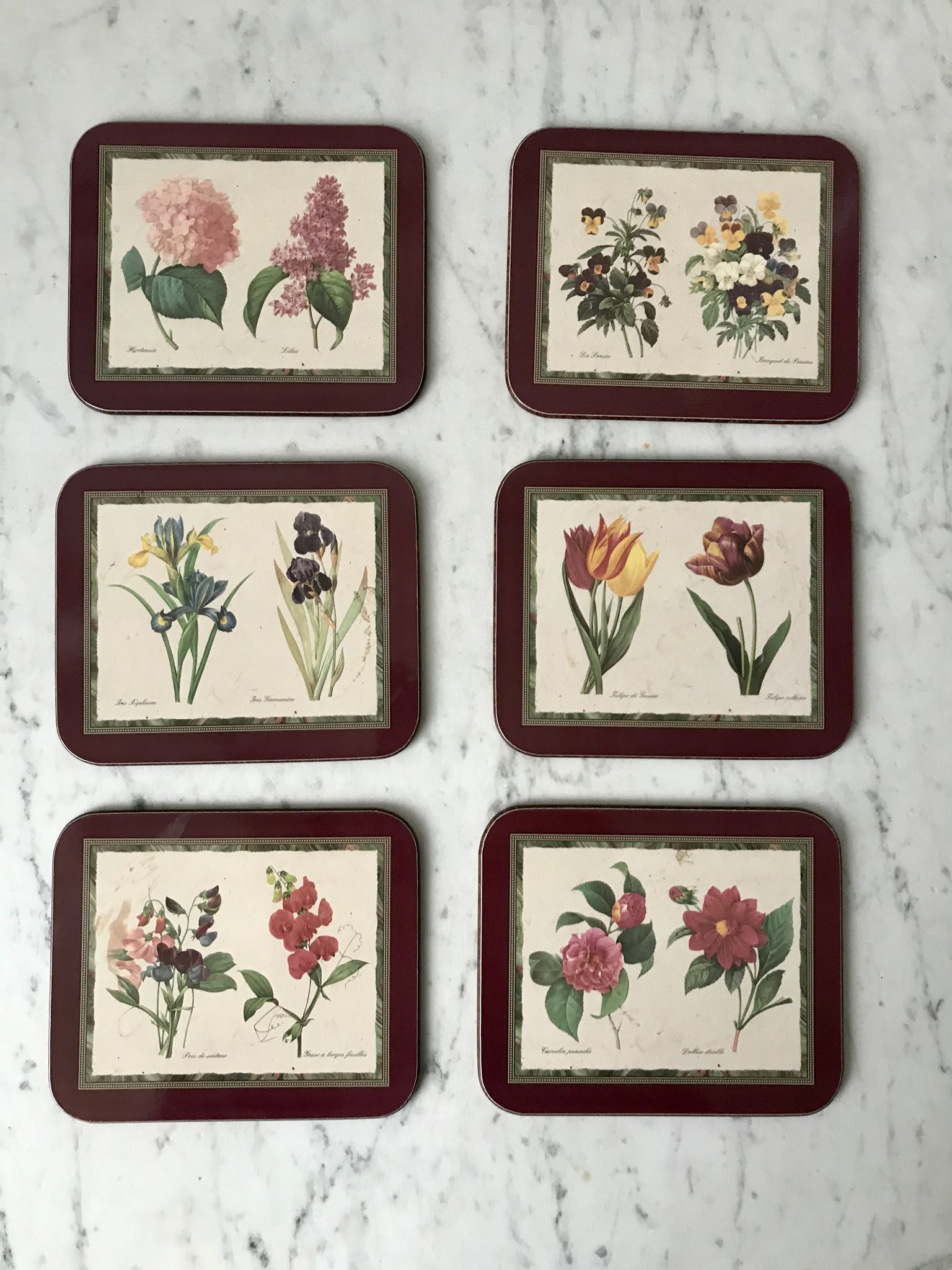 6 coasters Jason Coasters flowers Made in New Zealand (1963)
