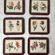 6 coasters Jason Coasters flowers Made in New Zealand (1963)