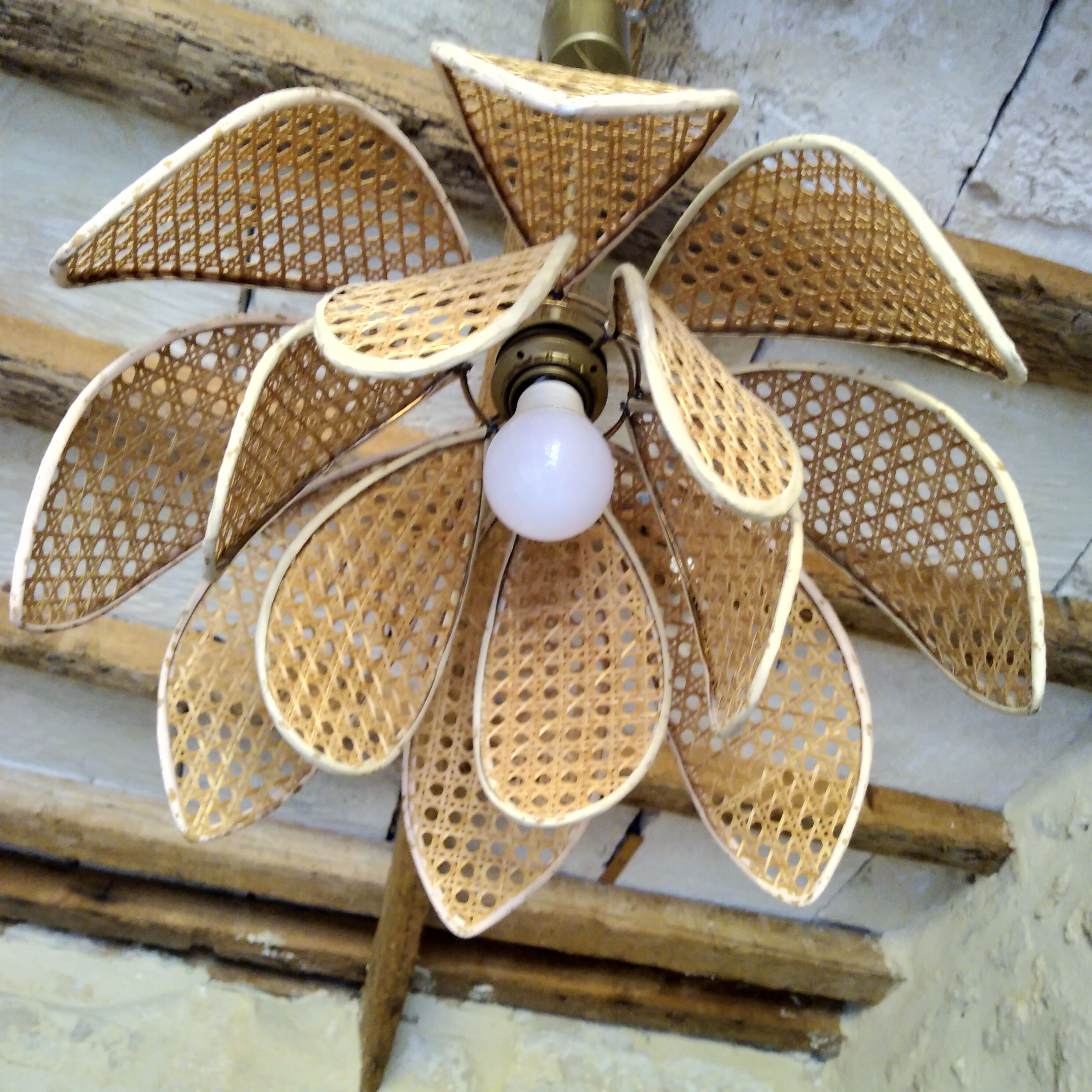 Lotus suspension in vintage cannage