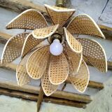 Lotus suspension in vintage cannage