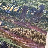 Watercolor "the pond in the undergrowth" signed early XX °