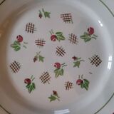 11 dinner plates decorated with stylized roses. 1950s. 11 dinner plates