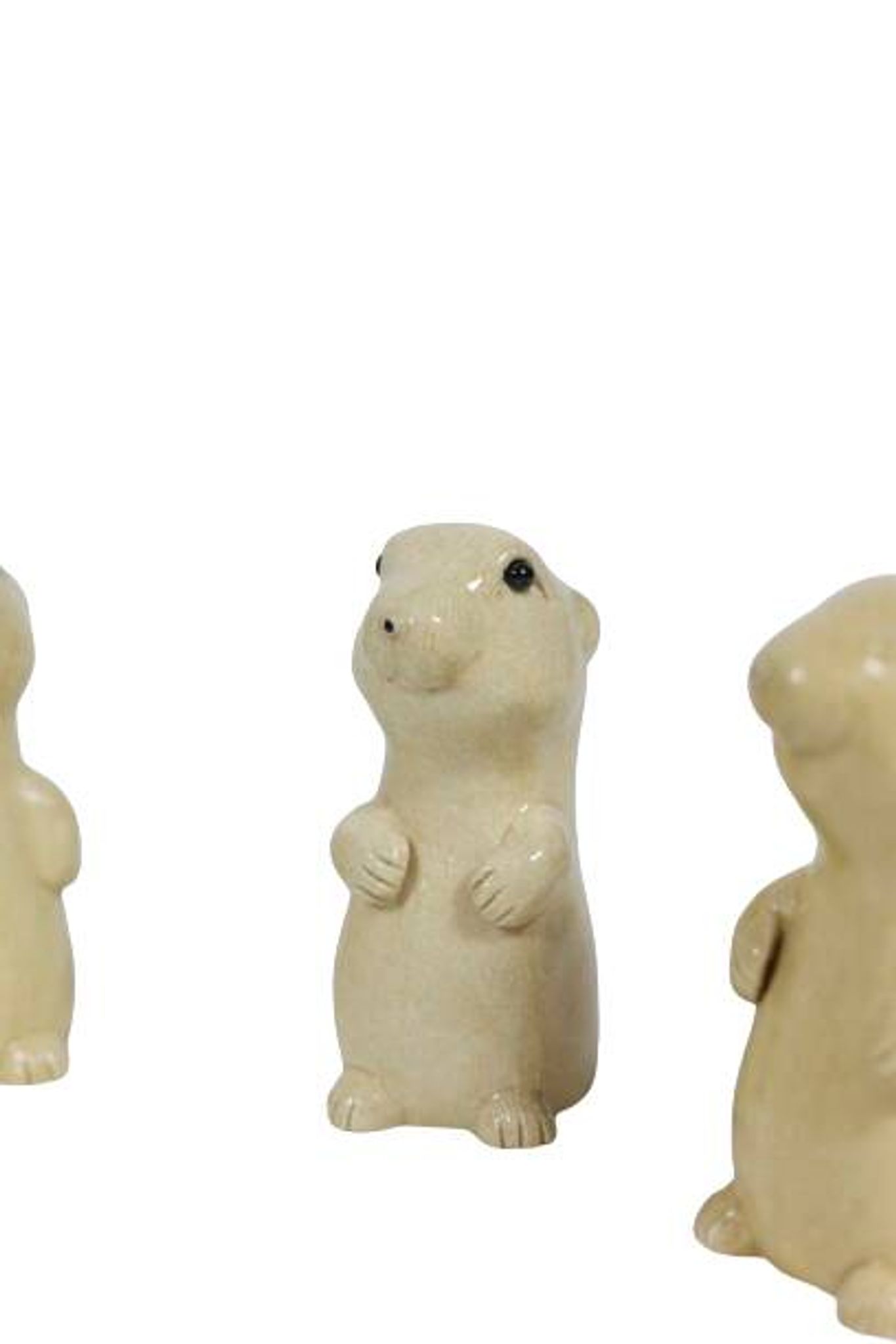 Valérie Courtet. Prairie dog. Contemporary work.