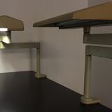 Paire de lampes Herman Miller LT100LN