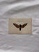 Gravure naturaliste  Papillon 19eme affiche botanique originale 1800