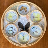 Tray and 6 coasters with naturalized butterflies