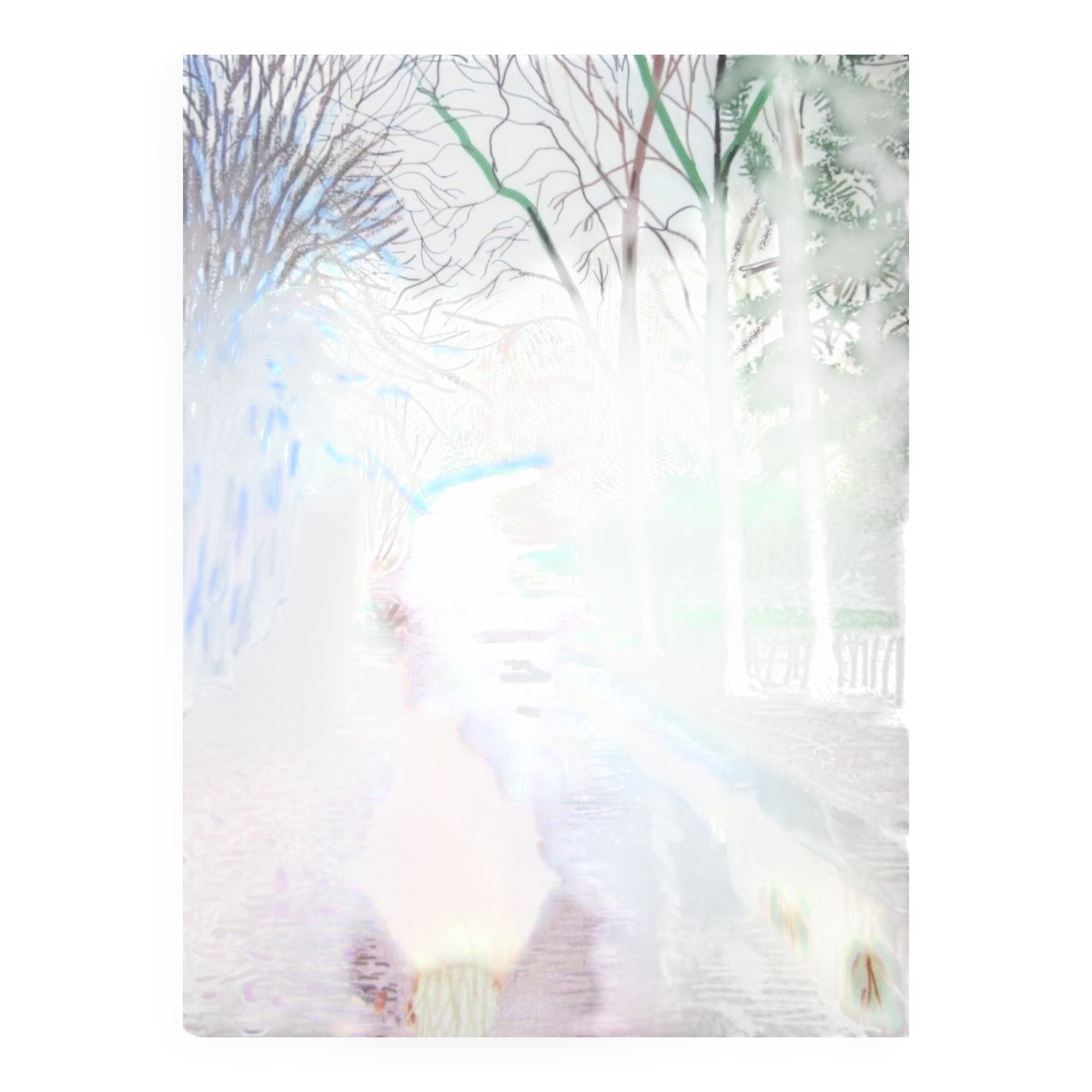 Lithographie de David Hockney signée et numérotée