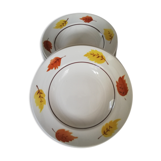 Lot de 11 assiettes creuses Moulin des loups décor fleurs d'automne