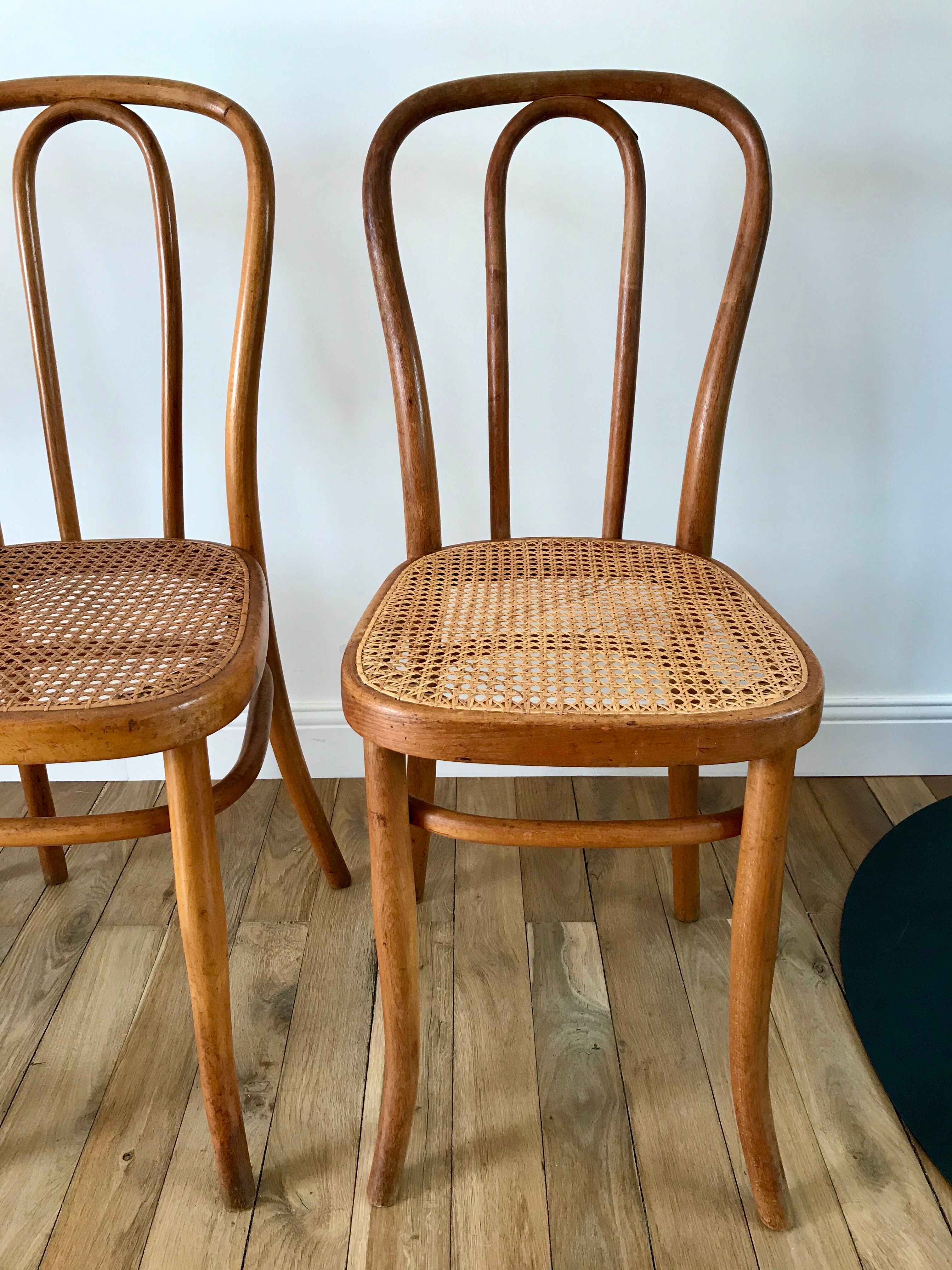 Set of 4 cane chairs in bentwood and honey-coloured cane thonet early 20th century