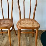 Set of 4 cane chairs in bentwood and honey-coloured cane thonet early 20th century