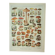 Old lithograph 1922, Mushrooms, picking, mycology, forest • Engraving, original illustration