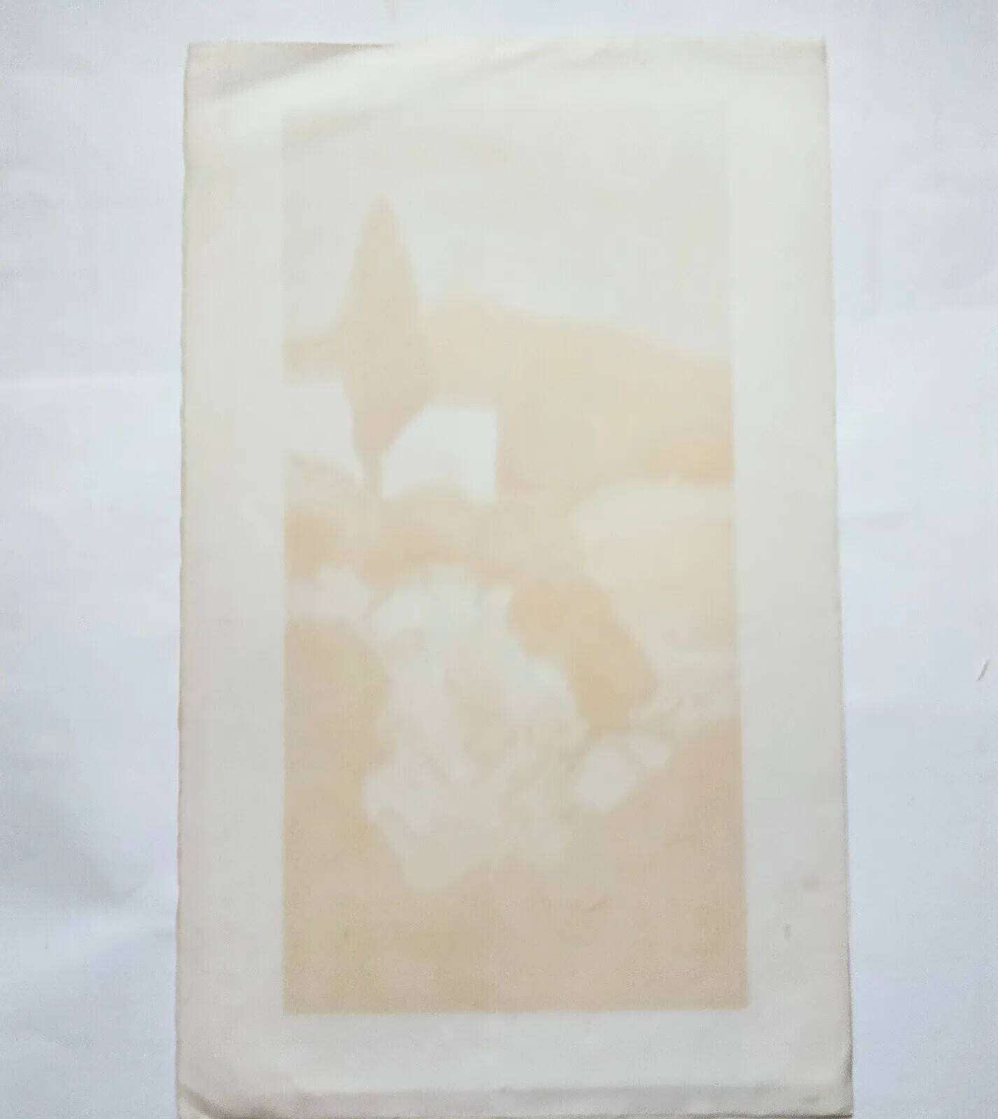 Jean-Claude Allenbach 1947-2007 The Cypresses Signed Lithograph