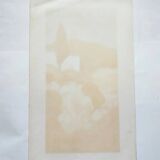 Jean-claude allenbach 1947 2007 the cypresses signed lithograph