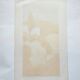 Jean-Claude Allenbach 1947-2007 The Cypresses Signed Lithograph