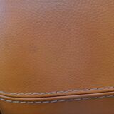 Deluxe leather lounge chair