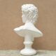 Plaster bust of a man: David, 1980s