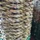 Scandinavian-style braided straw magazine door