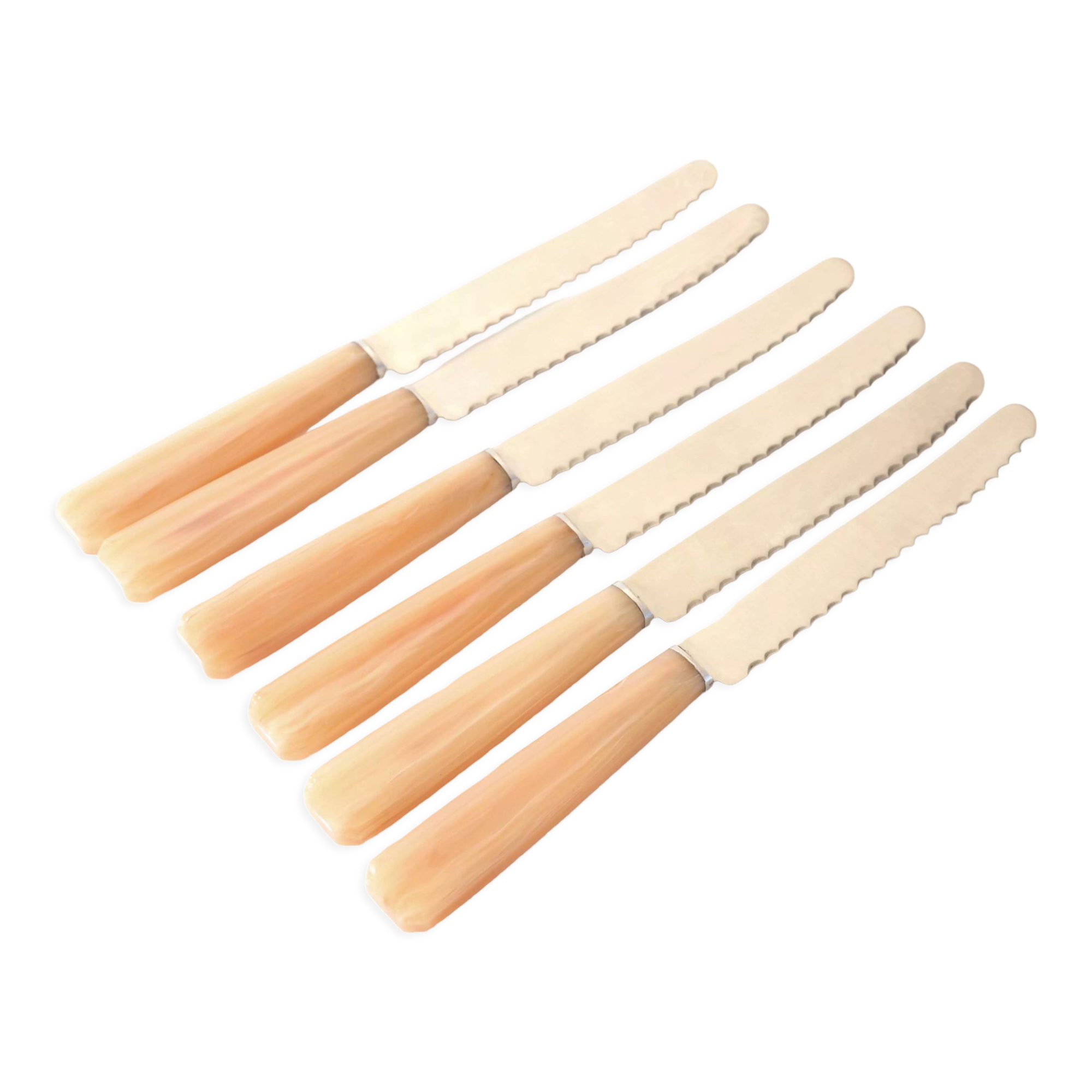 Series of 6 bakelite knives
