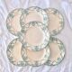 Assiettes plates XIXe Longwy terre de fer "Pierrefonds"
