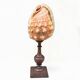 Red helmet shell conch on turned wooden base 19th century
