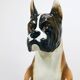 Life-size boxer dog statue in majolica, glazed ceramic, Italy, 1970s.