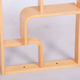 Restored MidCentury Divider, Maple, Ludvik Volak, Revived Polish, Czechia, 1960s