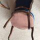 Blue wood/velvet chairs