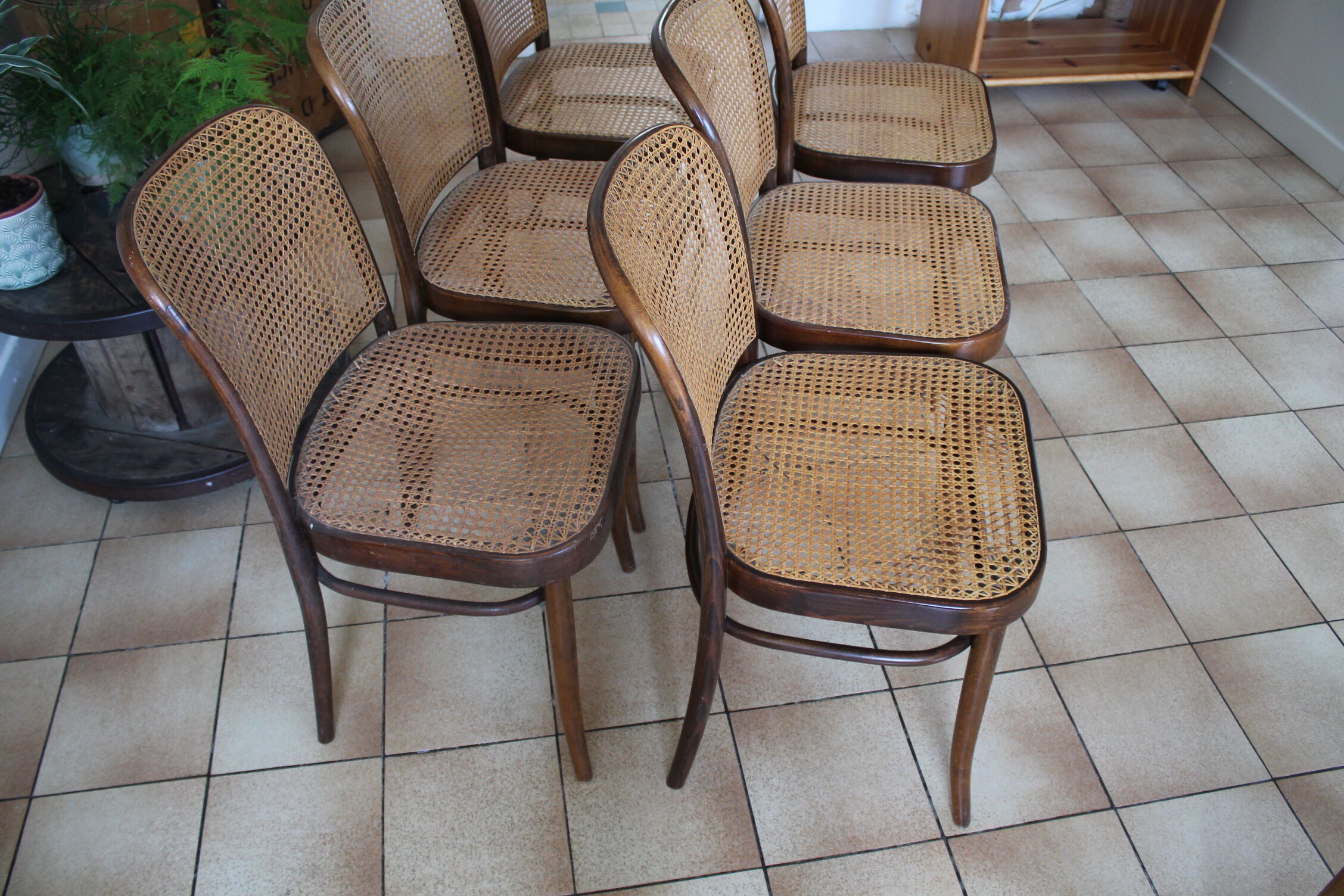 Set of 6 chairs canned drevounia